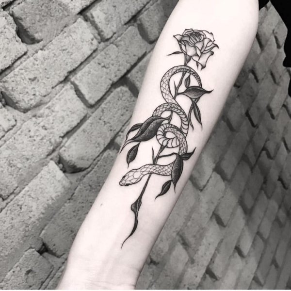 Тату змея с розой