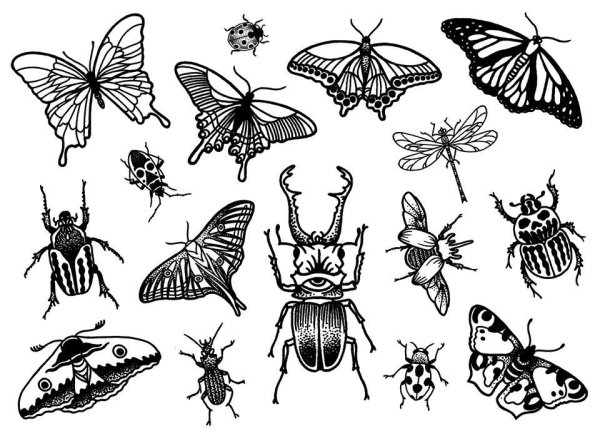 Насекомые черно белые