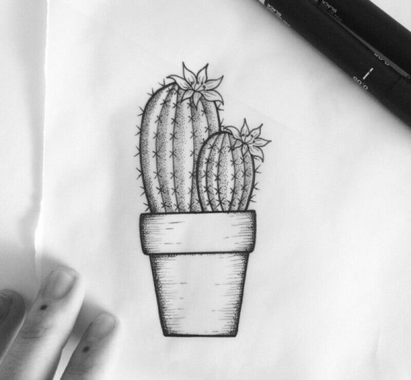 Тату Кактус эскизы