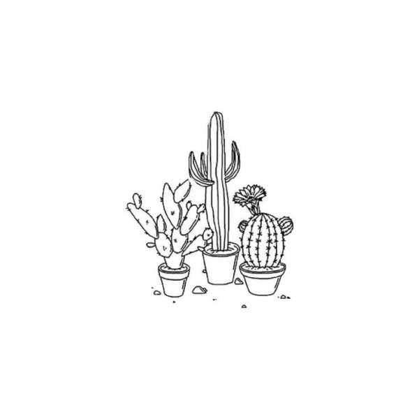 Кактус рисунок для срисовки