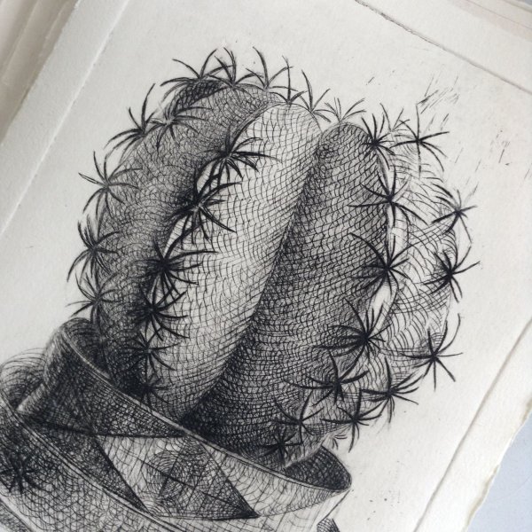 Кактус стилизация Графика