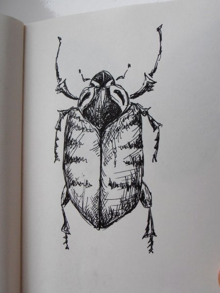 Насекомые гелевой ручкой