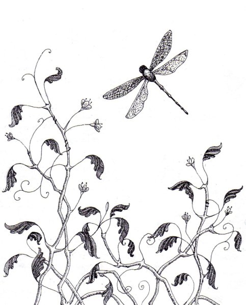 Бабочка Зентангл дудлинг