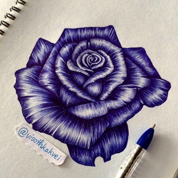 Роза шариковой ручкой