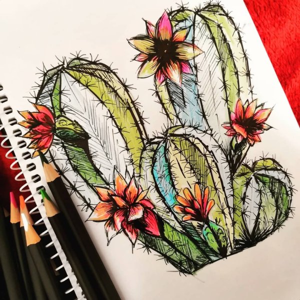 Цветы карандашом в скетчбуке
