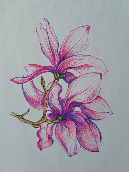 Рисунки цветов цветными ручками