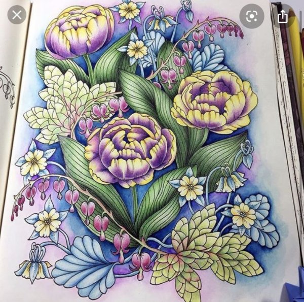 Рисунок цветными карандашами цветы