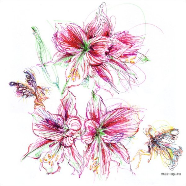 Красивые цветы фломастерами