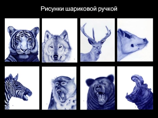Оцените этот нереальный рисунок шариковой ручкой