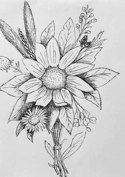 Рисунки ручкой цветы