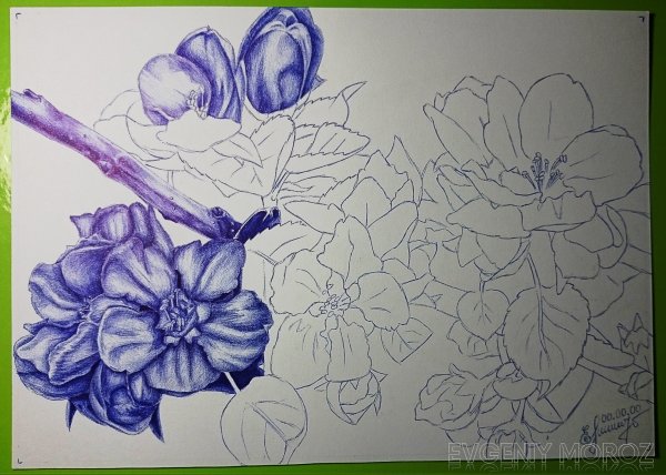 Ручкой рисуем середину цветка