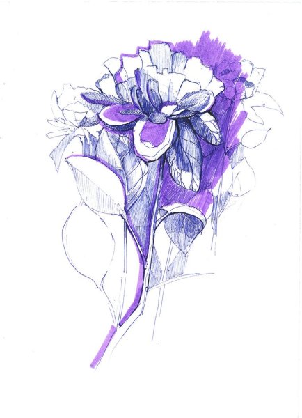 Необычный цветок скетч