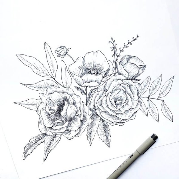 Пион набросок карандашом