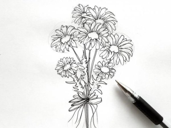 Букет ромашек для срисовки