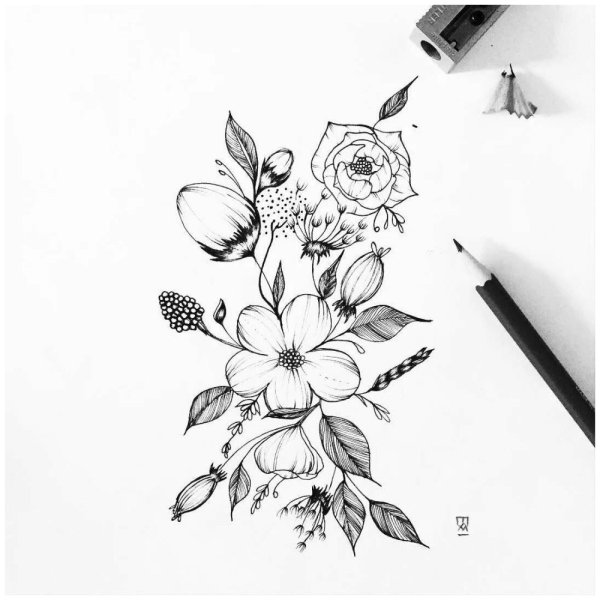 Цветы скетч