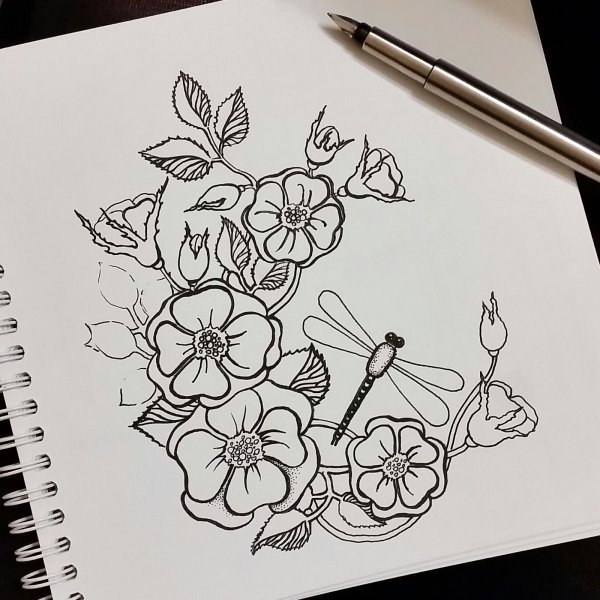 Рисунки чёрной ручкой цветы