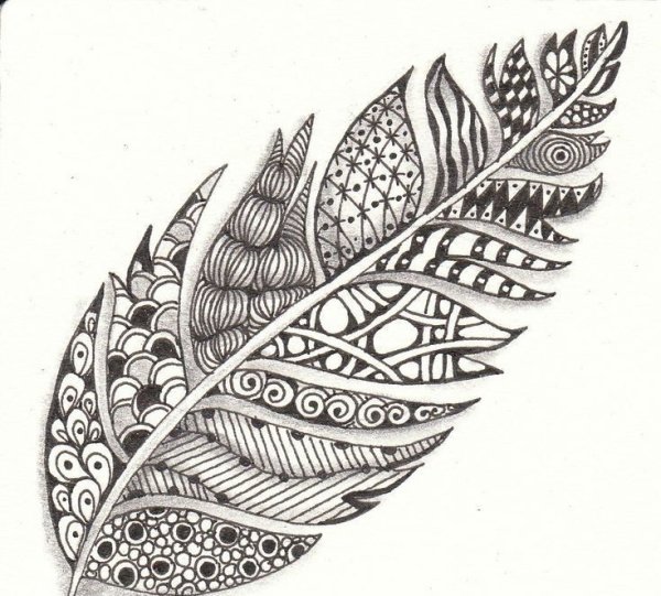 Листья черной ручкой