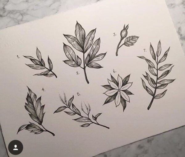 Листья в скетчбуке