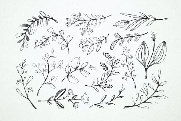 Красивые веточки для рисования