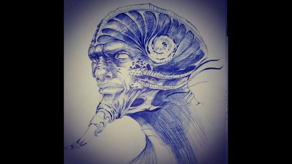 Рисунок шариковой ручкой