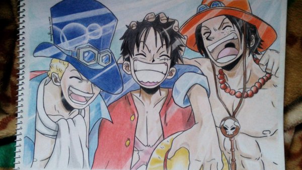 Эйс Луффи сабо сакэ