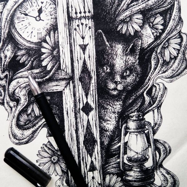 Кот Графика