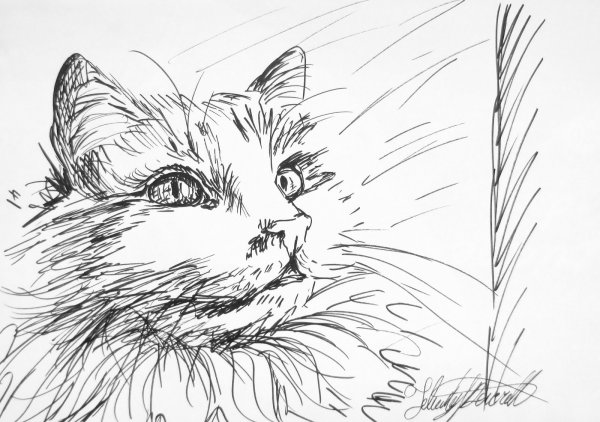 Эскизы Наброски