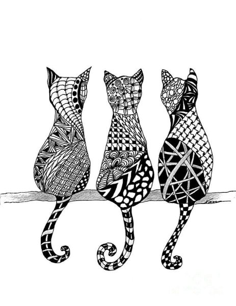 Зентангл узоры кошки