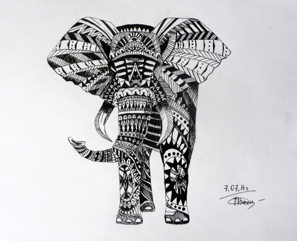 Стилизованные животные Графика