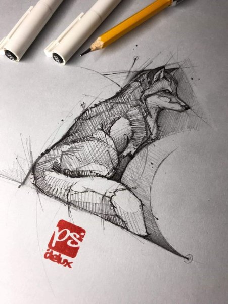 Зарисовки животных маркером