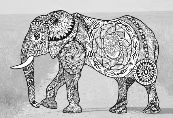 Слон с узорами