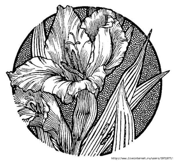 Графические рисунки