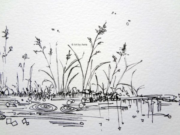 Пруд рисунок