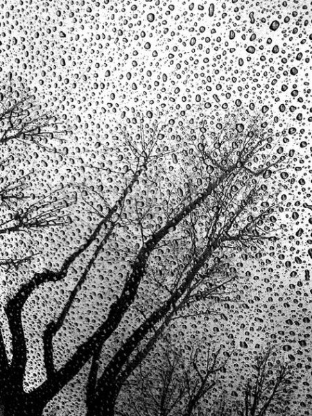 Черное пятно картина