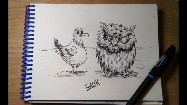 Рисунок Совы гелевой ручкой простые