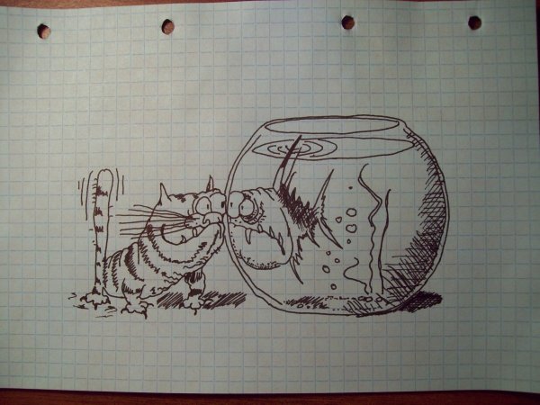 Блокноты для рисования скетчей