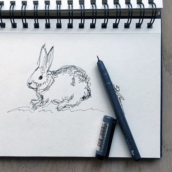 Животные линером