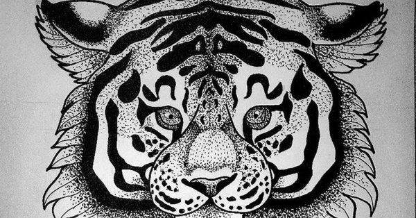 Тигр дотворк