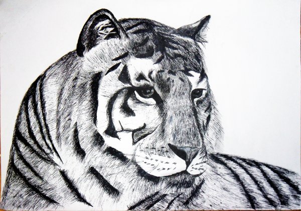 Ручка тигр