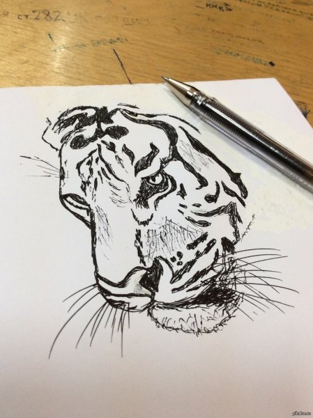 Рисование гелевой ручкой