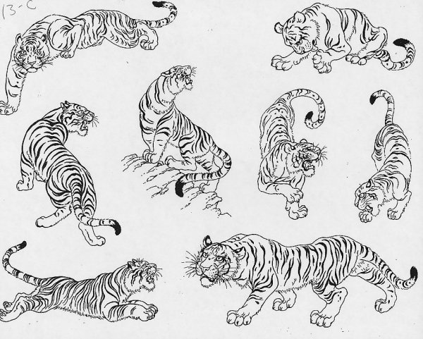 Стилизованный тигр