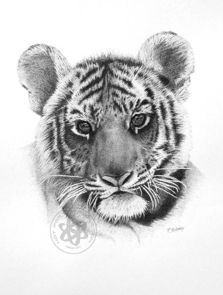 Керби Розанес геометрические звери