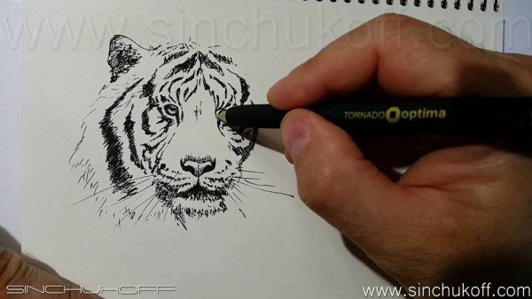 Тушь для рисования