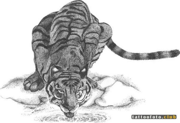 Тигр гелевой ручкой