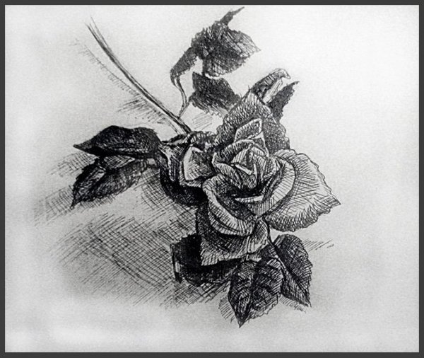 Цветы гелевой ручкой