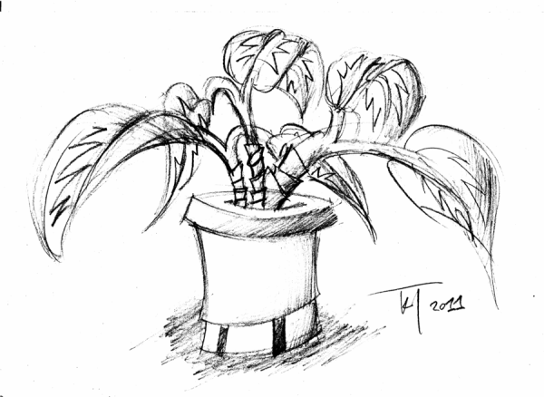 Наброски растений в горшке ручкой