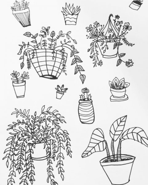 Растение в горшке рисунок
