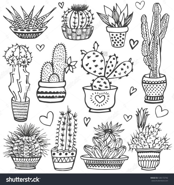 Раскраски растения кактусы