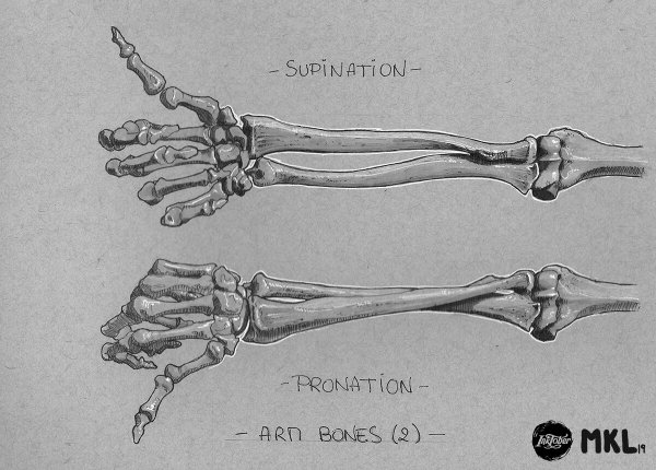 Рисунок на руке кости скелета