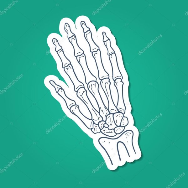 Трафарет костей рук